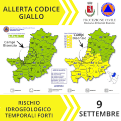 Cartina allerta meteo