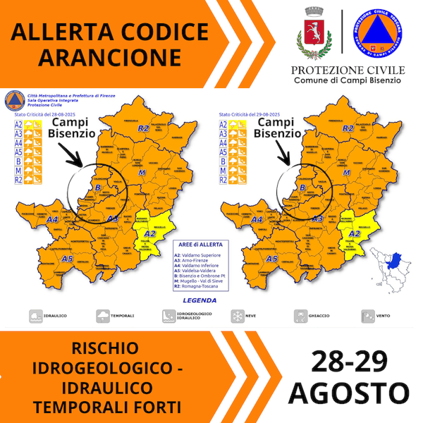Cartina allerta meteo